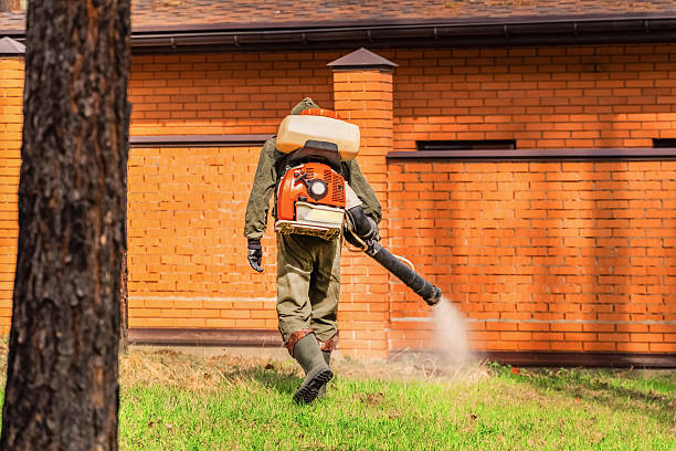 Top rated local Fumigation Services specialists in Mora, MN